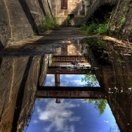 dead industry