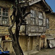 old and dead